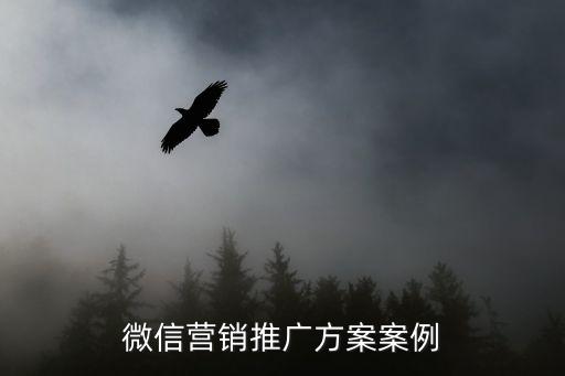 微營銷推廣方案，微信營銷推廣方案怎么寫啊