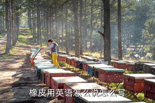 橡皮用英語怎么說怎么寫