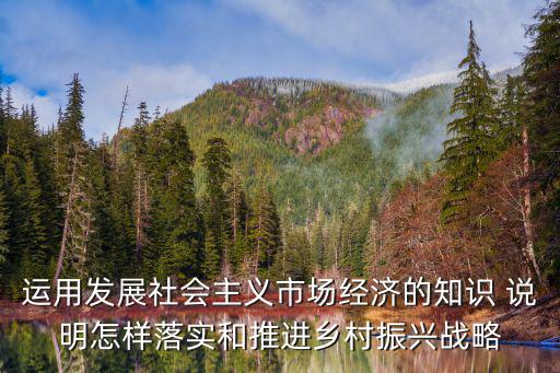 運用發展社會主義市場經濟的知識 說明怎樣落實和推進鄉村振興戰略