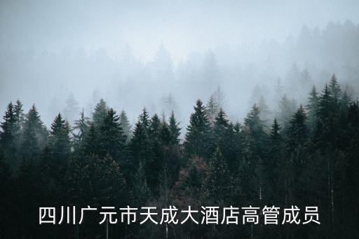 四川廣元市天成大酒店高管成員