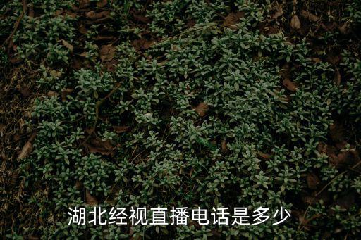 經(jīng)視直播求助熱線電話，熱線電話是多少