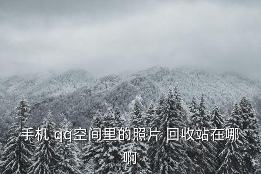 手機 qq空間里的照片 回收站在哪啊