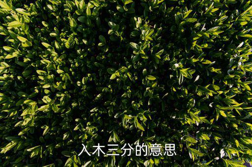 王羲之入木三分,入木三分"晉代書法家王羲之碑帖
