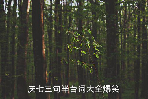 慶七三句半臺詞大全爆笑