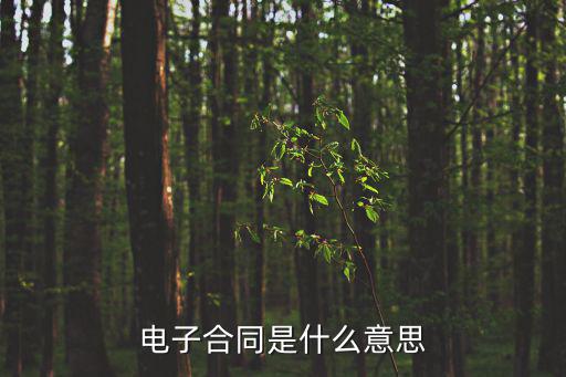 電子合同是什么意思