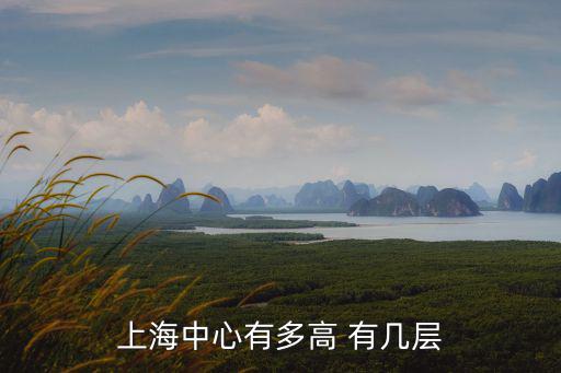 上海中心有多高 有幾層
