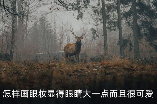 怎樣畫眼妝顯得眼睛大一點而且很可愛