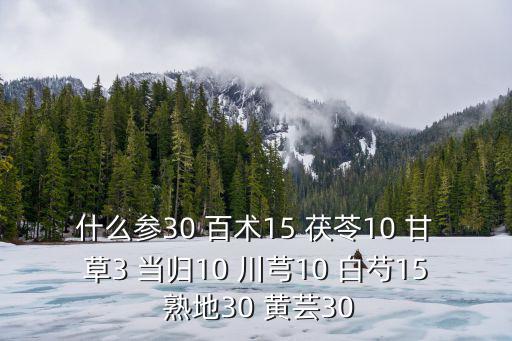 什么參30 百術(shù)15 茯苓10 甘草3 當(dāng)歸10 川芎10 白芍15 熟地30 黃蕓30