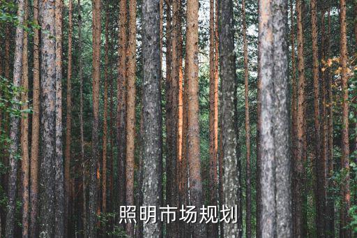 照明市場規劃