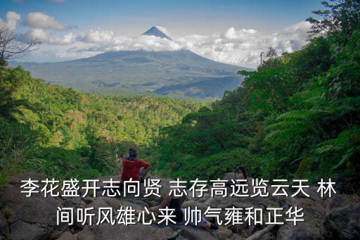 李花盛開志向賢 志存高遠(yuǎn)覽云天 林間聽風(fēng)雄心來 帥氣雍和正華