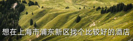 想在上海市浦東新區(qū)找個比較好的酒店
