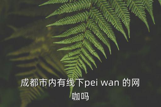 成都市內(nèi)有線下pei wan 的網(wǎng)咖嗎