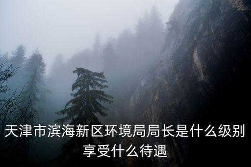 天津市濱海新區環境局局長是什么級別享受什么待遇