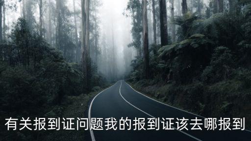 有關報到證問題我的報到證該去哪報到