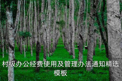 村級辦公經費使用及管理辦法通知精選模板