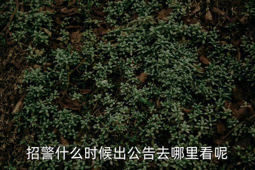 招警什么時候出公告去哪里看呢
