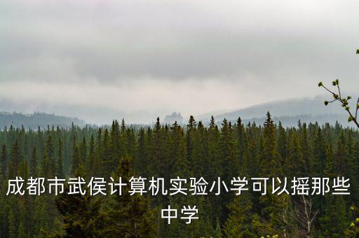 成都市武侯實驗小學 武侯區，成都市武侯區有哪些小學