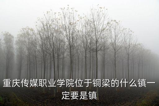 重慶傳媒職業學院位于銅梁的什么鎮一定要是鎮