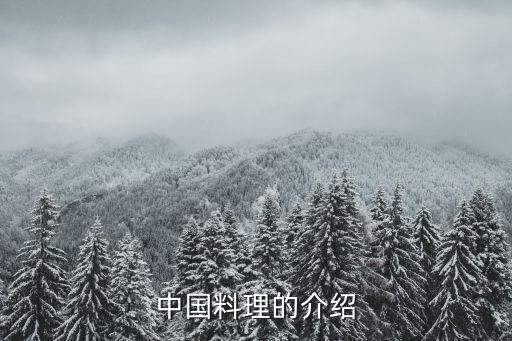 中國料理的介紹