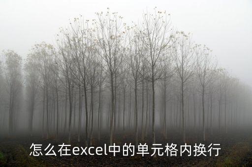 怎么在excel中的單元格內換行