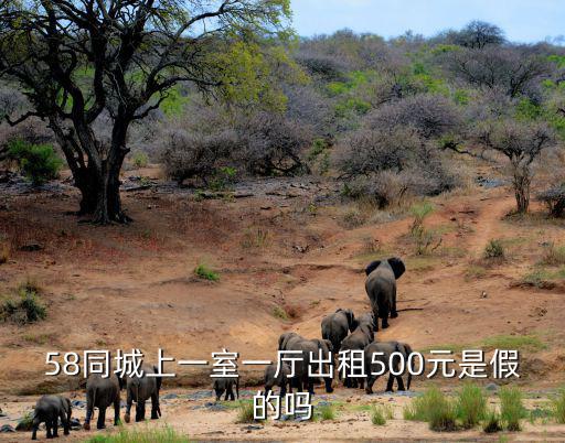 58同城上一室一廳出租500元是假的嗎