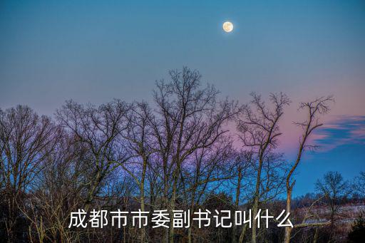 成都市市委副書記叫什么