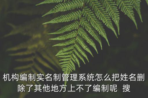 機構編制實名制管理系統怎么把姓名刪除了其他地方上不了編制呢  搜
