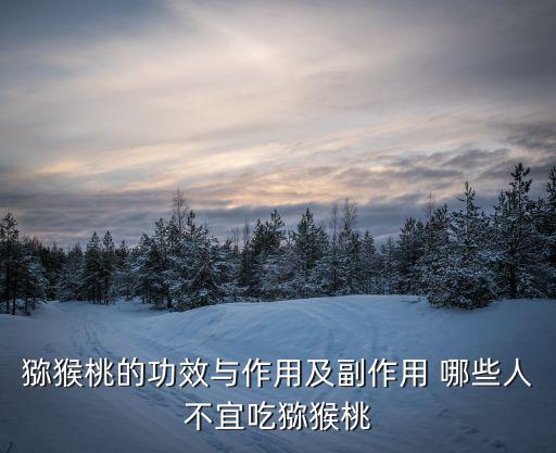 獼猴桃的功效與作用及副作用 哪些人不宜吃獼猴桃