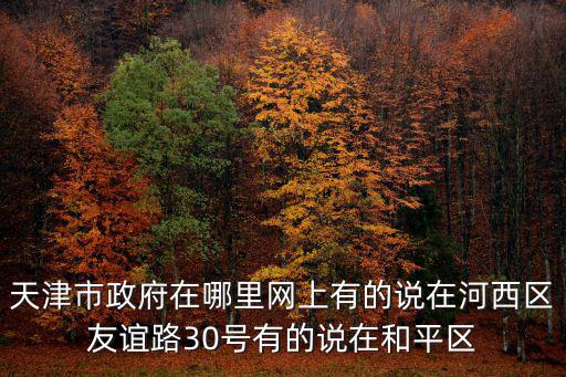 天津市政府在哪里網上有的說在河西區友誼路30號有的說在和平區