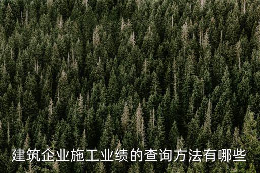建筑企業施工業績的查詢方法有哪些