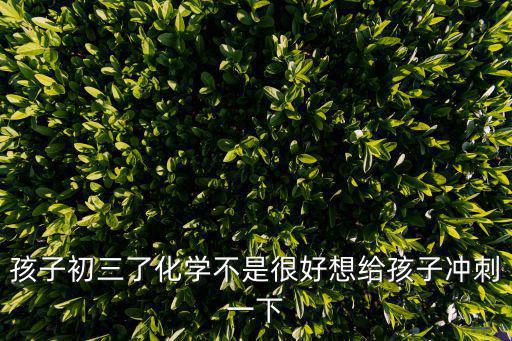 孩子初三了化學(xué)不是很好想給孩子沖刺一下