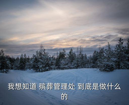 我想知道 殯葬管理處 到底是做什么的