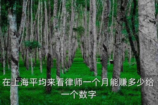 在上海平均來(lái)看律師一個(gè)月能賺多少給一個(gè)數(shù)字