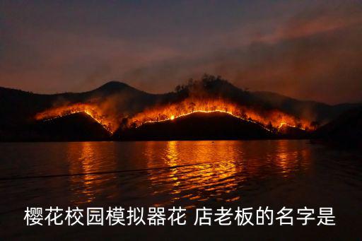 花店老板,第21集:武漢華僑銀行職員確診感染病毒
