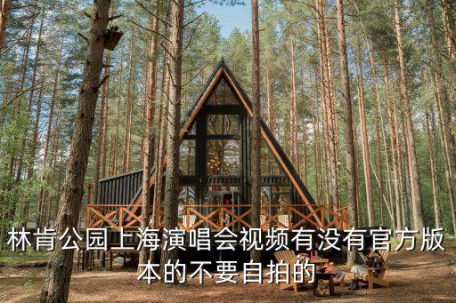 林肯公園上海演唱會視頻有沒有官方版本的不要自拍的