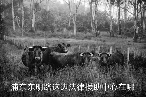 浦東東明路這邊法律援助中心在哪
