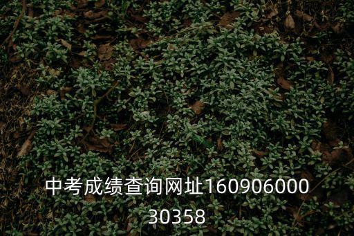 重慶市中考成績查詢入口2021，中考成績查詢網址16090600030358