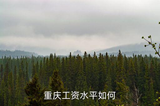 重慶工資水平如何