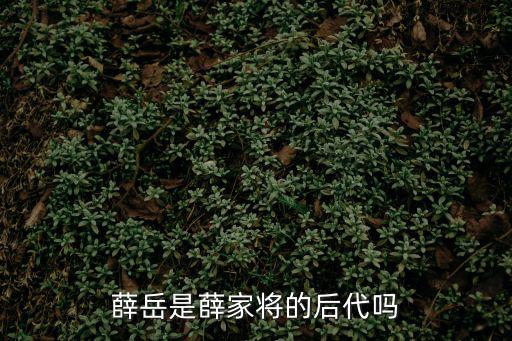 薛岳是薛家將的后代嗎
