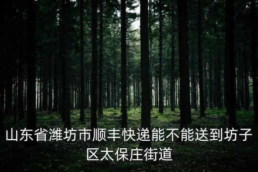 山東省濰坊市順豐快遞能不能送到坊子區太保莊街道