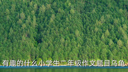 有趣的什么小學生二年級作文題目烏龜