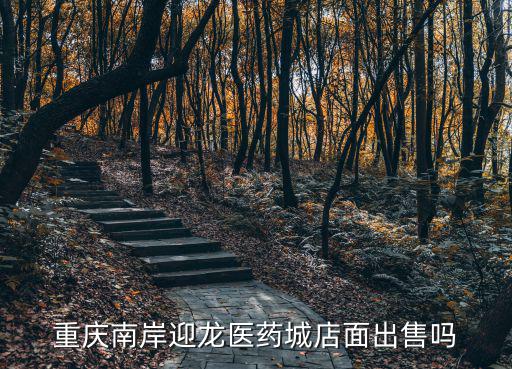 重慶南岸迎龍醫(yī)藥城店面出售嗎