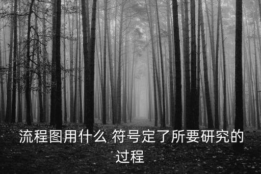 流程圖符號(hào),流程圖符號(hào)如何輸入?