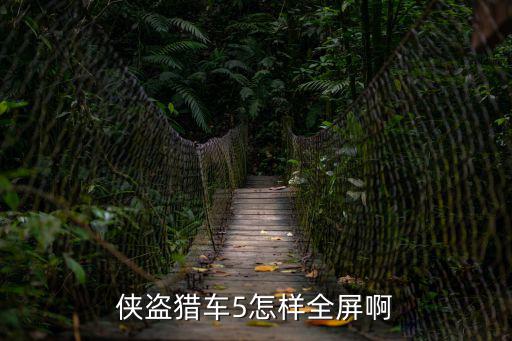 gta5怎么全屏，gta5怎么全屏我的是個窗口