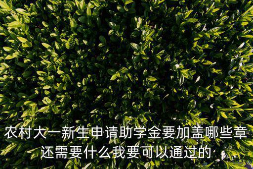 農村大一新生申請助學金要加蓋哪些章還需要什么我要可以通過的