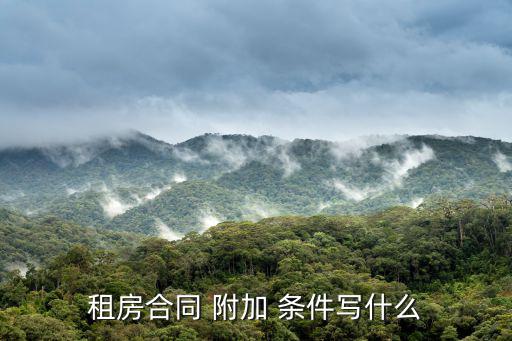 附加條件,民事法律行為可以附條件實現時失效