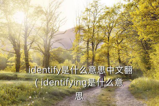 identify是什么意思中文翻( identifying是什么意思