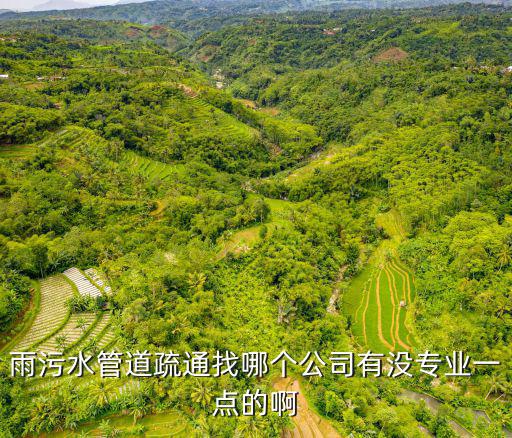 雨污水管道疏通找哪個公司有沒專業(yè)一點的啊