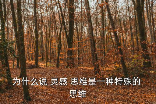 為什么說 靈感 思維是一種特殊的 思維