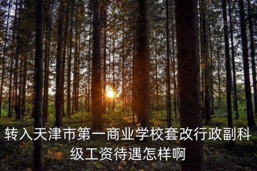 轉(zhuǎn)入天津市第一商業(yè)學(xué)校套改行政副科級(jí)工資待遇怎樣啊